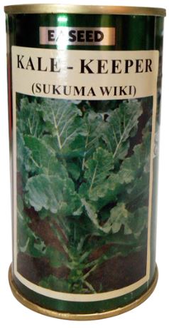 Kale-Keeper (Thousand Headed) – Sukuma Wiki variety with long picking period 